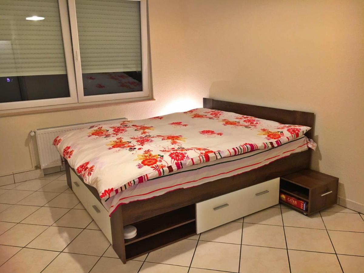 Cozy Studio Apart - King Bed - Netflix - Projector - Fast Wi-Fi Люксембург Экстерьер фото